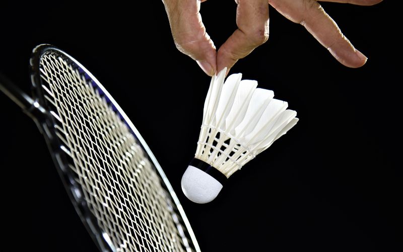 badminton live